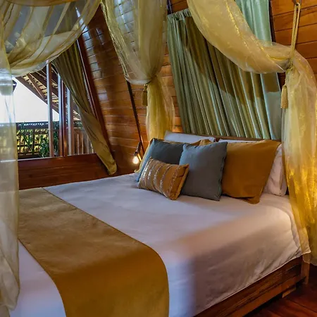 Heimatlos Amazon Lodge Puyo Exterior photo
